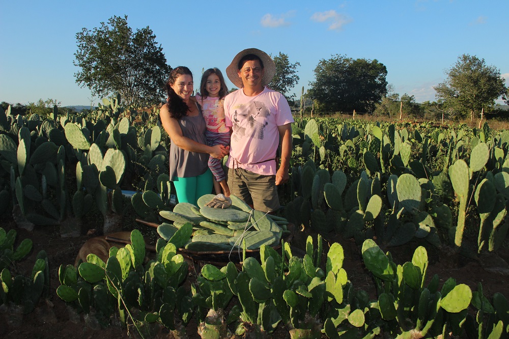 Family farmers in northeast Brazil pose in a cactus field they planted to provide fodder for their dairy cattle, in this undated photo courtesy of MAIS/Jorge Macedo. u00e2u20acu201d Reuters pic      