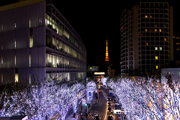 Winter illumination lights up the upmarket Roppongi neighbourhood at night