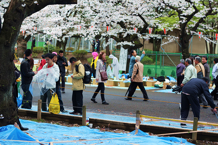 Getting ready for hanami (cherry blossom viewing) picnics at Ueno Park