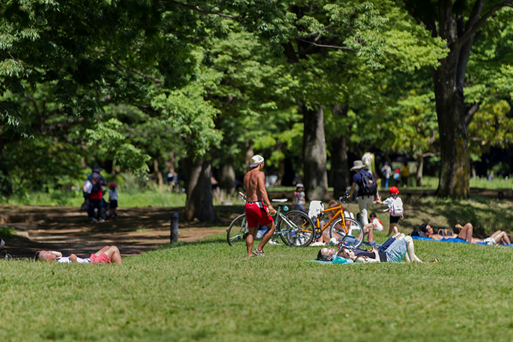 Sunbathers enjoying the summer heat