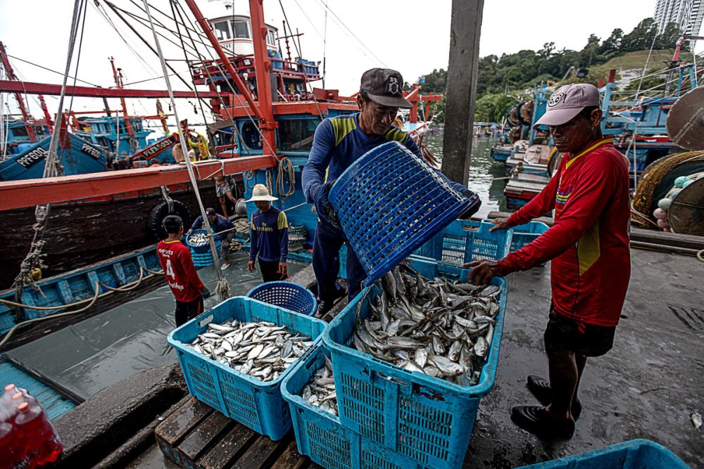 Fishermen unload their catch at the dock of the Fisheries Developement Authority of Malaysia in Batu Maung December 17, 2018. u00e2u20acu201d Picture by Sayuti Zainudin