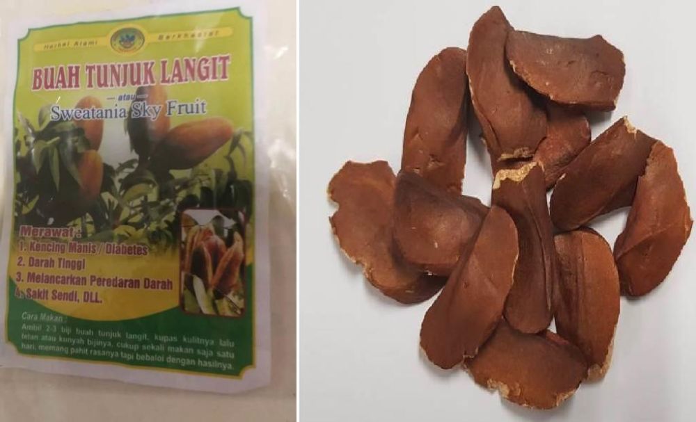 An example of packed raw mahogany seeds (left) consumed by one of the patients and raw mahogany seeds (right). u00e2u20acu201d TODAY pic