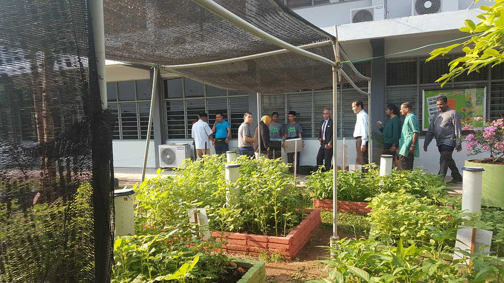 To date, the school has already made a profit from the early harvest, with green spinach, water spinach and spring onions among the popular choices.