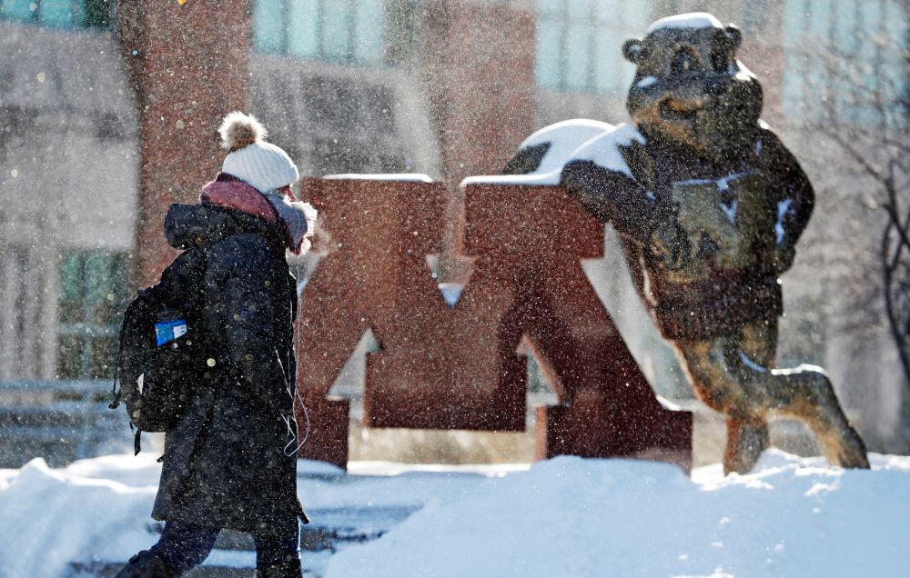 A student is dressed for subzero temperatures while walking to the student union at the University of Minnesota in Minneapolis, Minnesota, US, January 29, 2019. u00e2u20acu201d Reuters pic