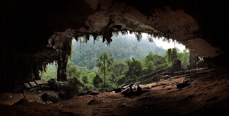 The Niah caves have been used by humans at different times ranging from the prehistory to neolithic, Chinese Sung-Era and more recent times. u00e2u20acu201d Picture via Sarawak Forestry Corporation homepage