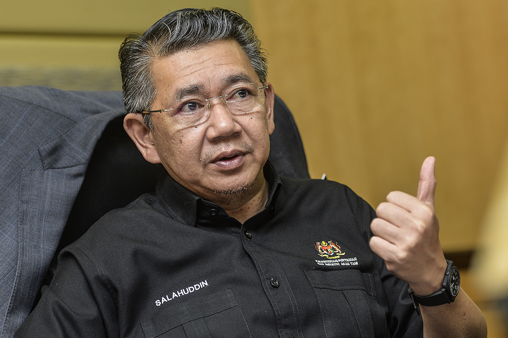 Datuk Salahuddin Ayub speaks to Malay Mail in Putrajaya January 23, 2019. u00e2u20acu201d Picture by Miera Zulyana