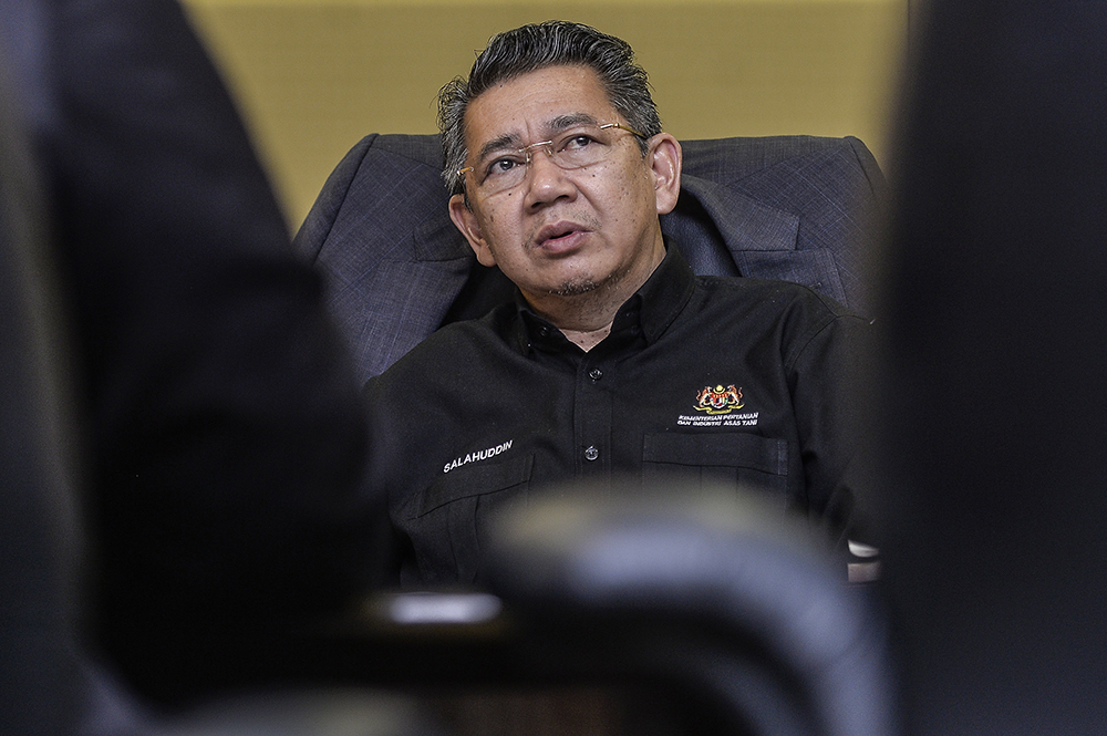 Datuk Salahuddin Ayub speaks to Malay Mail in Putrajaya January 23, 2019. u00e2u20acu201d Picture by Miera Zulyana