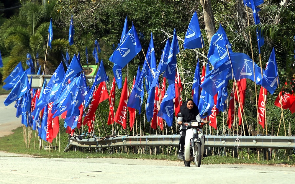 Pakatan Harapan and Barisan Nasional flags line a road in Cameron Highlands January 24, 2019. u00e2u20acu201d Picture by Farhan Najib