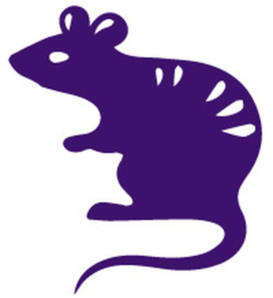 The Rat is dubbed the luckiest this year.