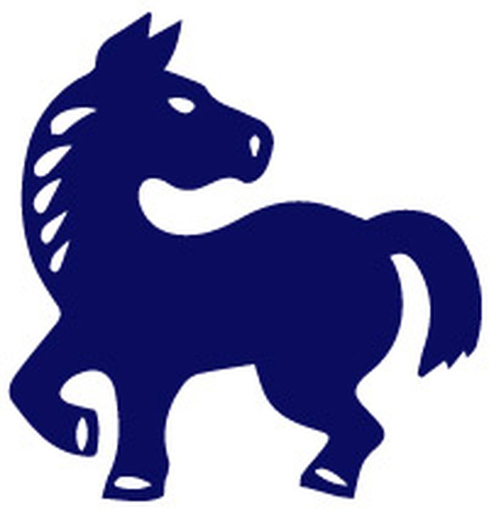 A year full of congratulatory events for the horse.