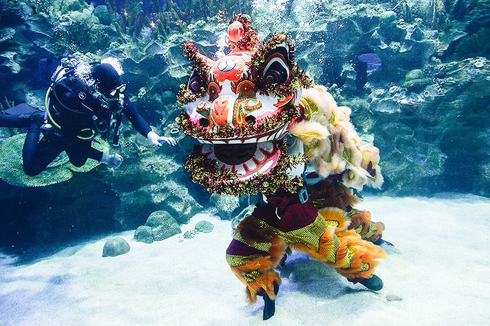 Divers performing a traditional Chinese lion dance underwater during the Gong SEA Fa Cai & launches of Transparent Fish Exhibition in Aquaria KLCC on January 30, 2019. u00e2u20acu201d Picture by Miera Zulyana