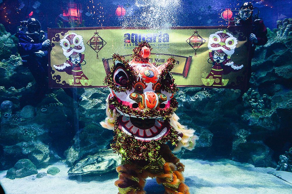 Divers performing a traditional Chinese lion dance underwater during the Gong SEA Fa Cai & launches of Transparent Fish Exhibition in Aquaria KLCC on January 30, 2019.