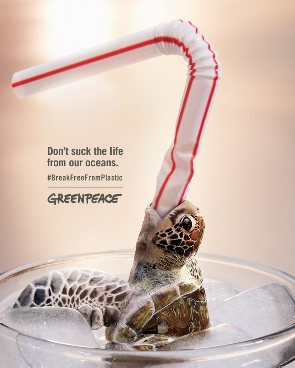 Save the turtles and opt to use less single-use plastic in your daily life. — Picture via Facebook/Greenpeace International