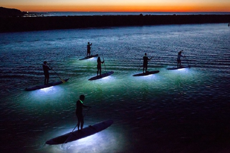 TripAdvisor recommends stand-up paddleboarding under the moonlight in Barcelona. u00e2u20acu201d AFP pic