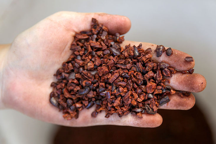 Cocoa nibs after winnowing (cacao is called cocoa after roasting).