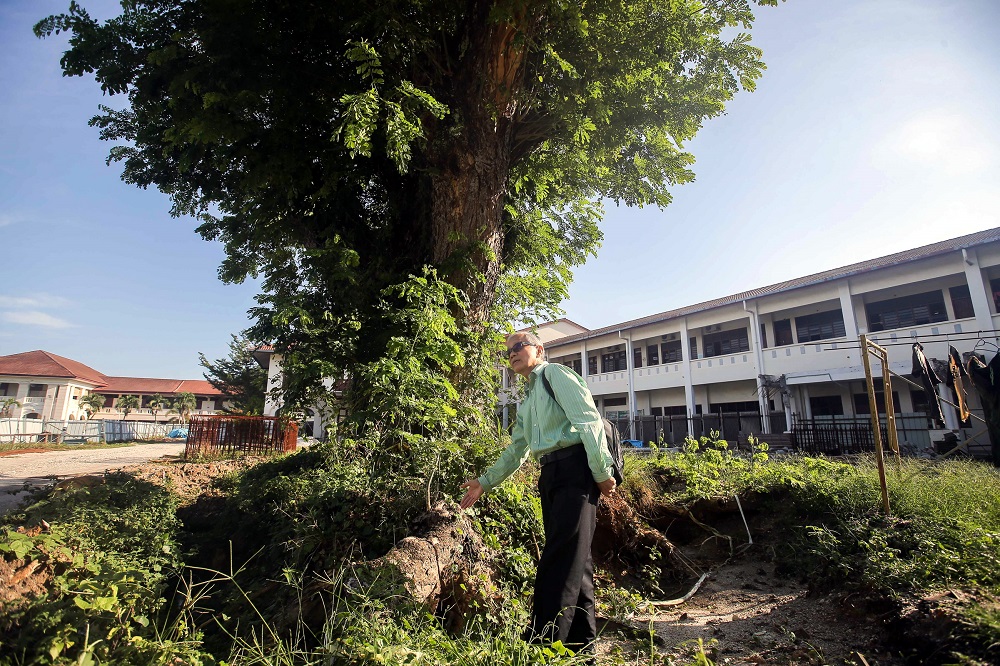 Dr Ting Cheh Sing walks next to the iconic 100-year-old rain tree in the Methodist Girlsu00e2u20acu2122 School in Ipoh February 1, 2019. u00e2u20acu201d Picture by Farhan Najib 
