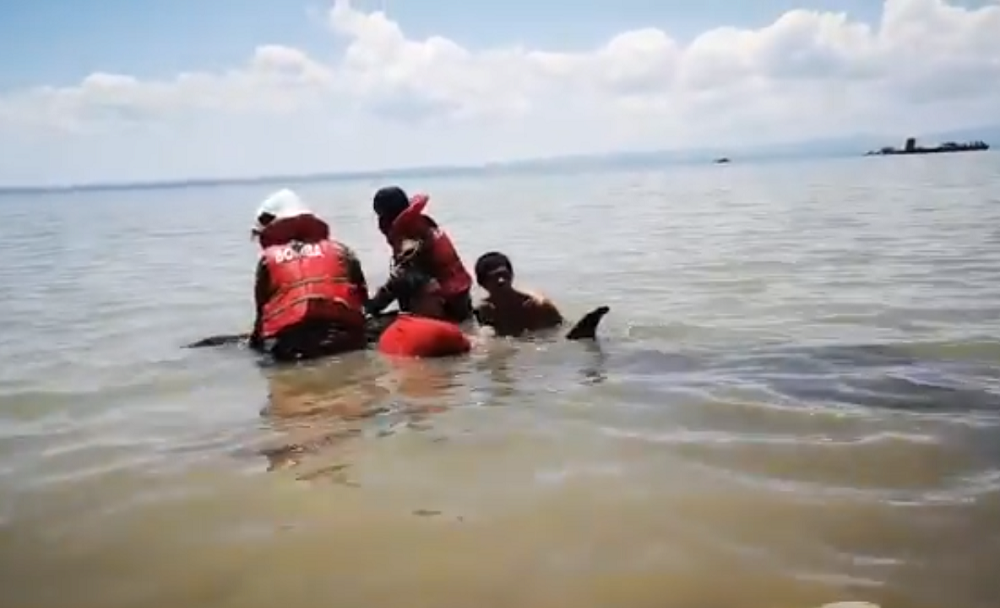 A screen cap of a video showing firemen and members of the public helping the stranded dolphin back to sea. 