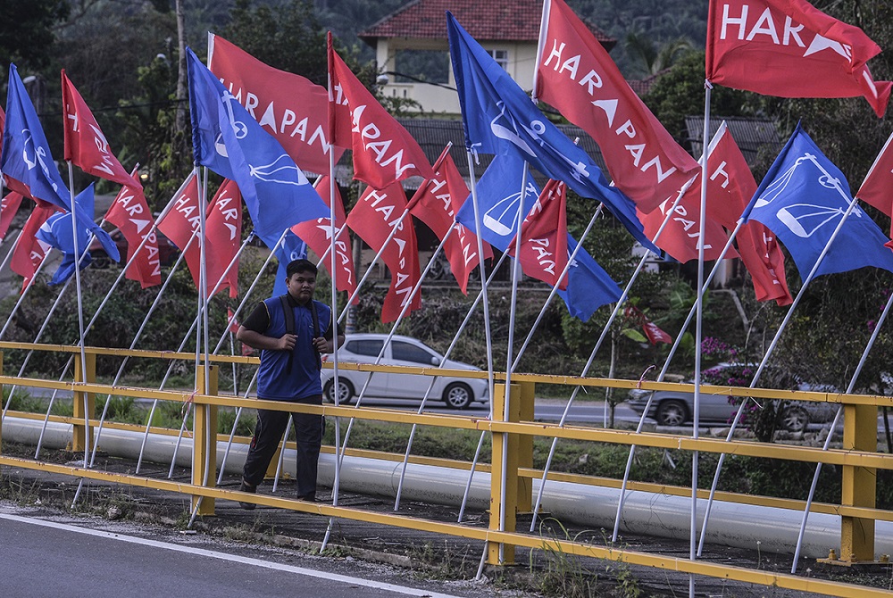 Pakatan Harapan and Barisan Nasional flags line a road in Semenyih February 26, 2019. u00e2u20acu201d Picture by Shafwan Zaidon