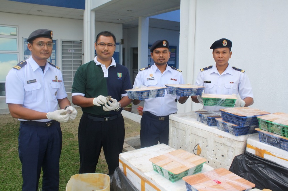 The Malaysian Maritime Enforcement Agency (MMEA) foiled an attempt to smuggle 3,300 protected turtles into the country near Tanjung Tohor in the waters off Batu Pahat here early today. u00e2u20acu201d Picture courtesy of MMEA