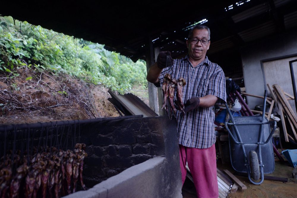 Mohd Din Suin, 54, speaks to Malay Mail during a street polling session at Kampung Rinching Tengah, Beranang February 19, 2019. — Picture by Shafwan Zaidon