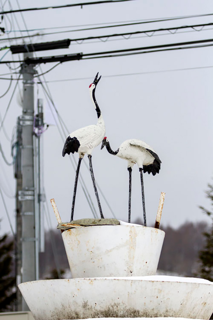 Monument to the iconic 'tancho' cranes at Tsurimidai