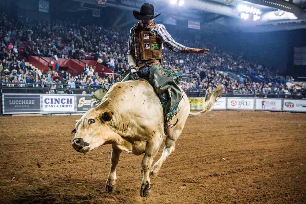 Brady Portenier of Caldwell Indiana competes in the El Paso County Colosseum during the Tuff Hedeman Bull Riding Tour February 16, 2019. u00e2u20acu201d AFP pic