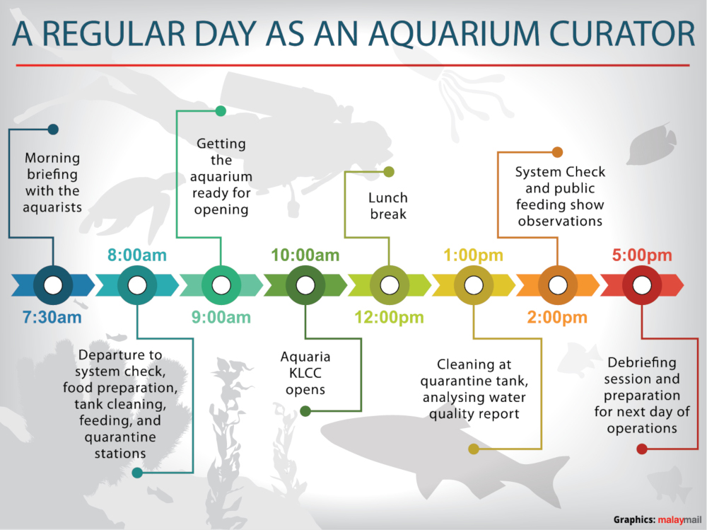 — Graphic by Tengku Zulfadzil