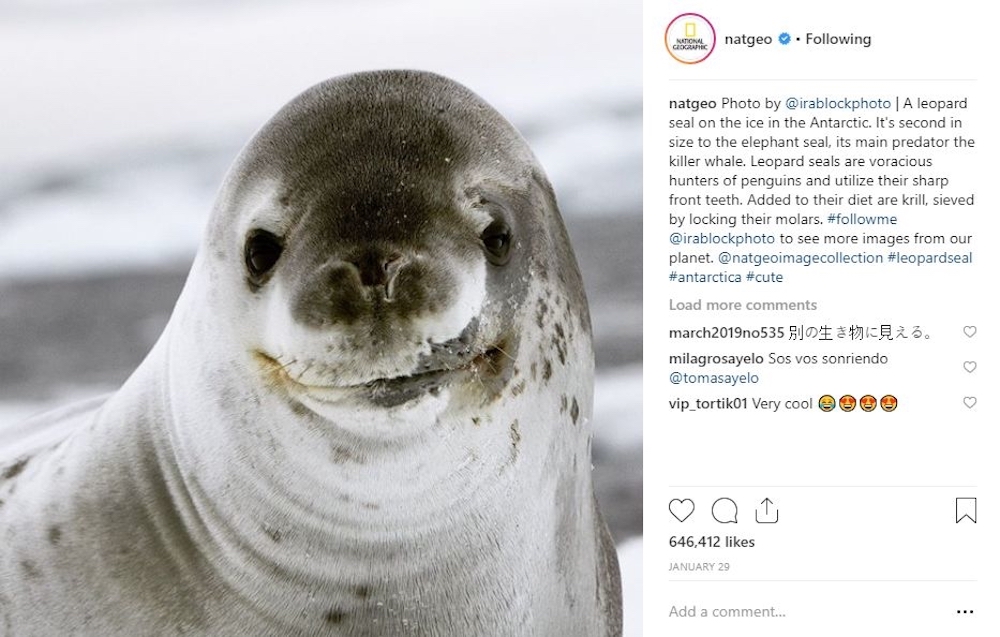 Photos uploaded to the account are taken by NatGeou00e2u20acu2122s network of professional photographers around the world. u00e2u20acu201d Handout via AFP
