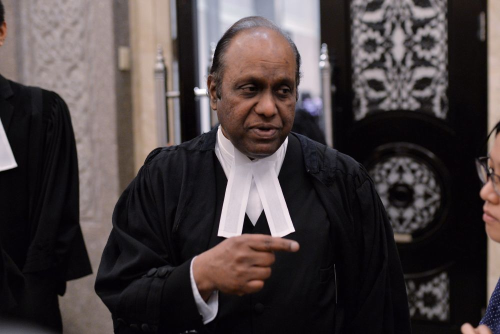 Lawyer Datuk Cyrus Das speaks to reporters at the Palace of Justice, Putrajaya February 14, 2019. u00e2u20acu201d Picture by Shafwan Zaidon