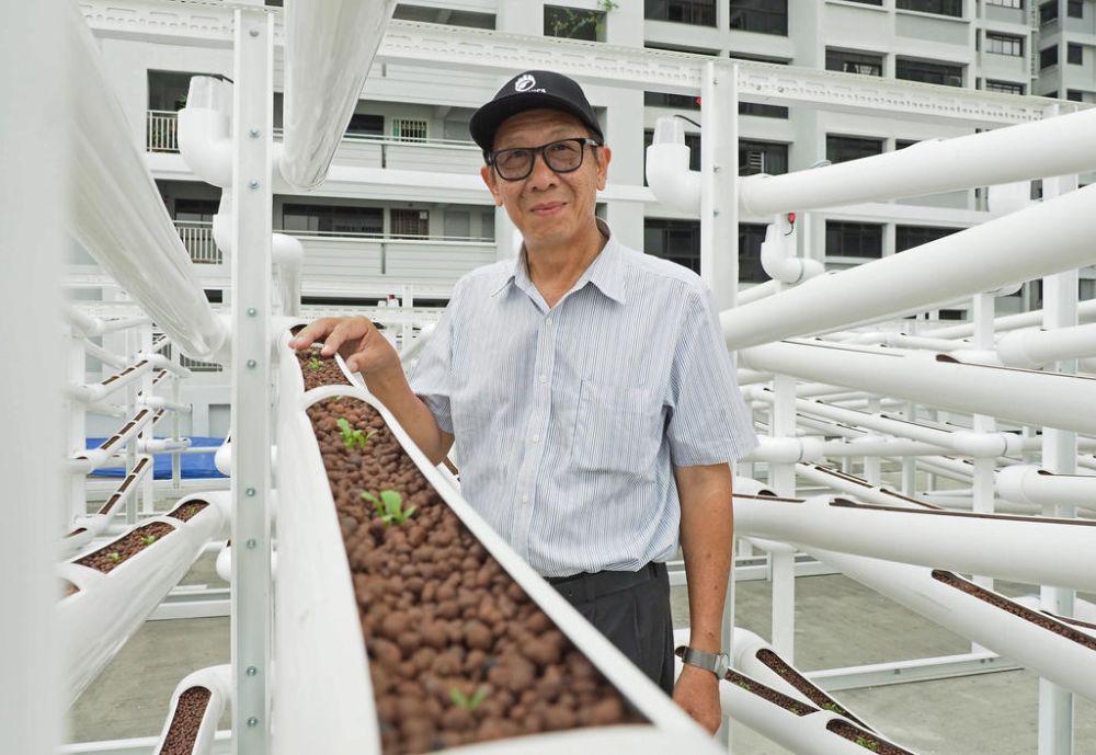 Teo Hwa Kok, founder of Citiponics Farm, converted unused and unconventional spaces such as the rooftop of a multi-storey car park in Ang Mo Kio into an urban vertical farm that grows vegetables without soil. u00e2u20acu201d TODAY pic
