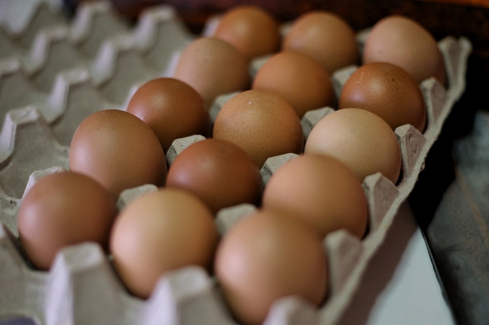 Generic picture of an eggs March 15,2019. u00e2u20acu201d Picture by Ahmad Zamzahuri