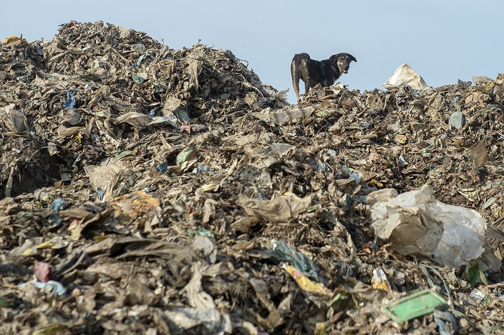 Piles of plastic are seen at an illegal recycling site in Jenjarom, Banting March 26, 2019. u00e2u20acu201d Picture by Mukhriz Hazim