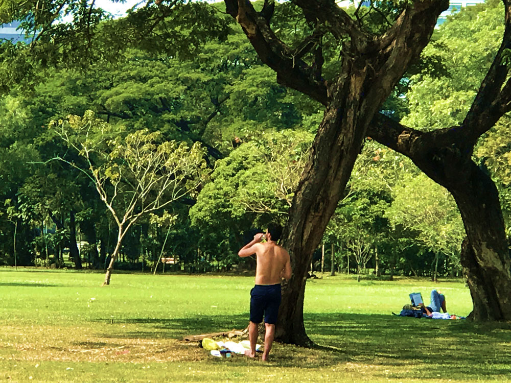 Work up a sweat at Lumphini Park. — Picture by CK Lim