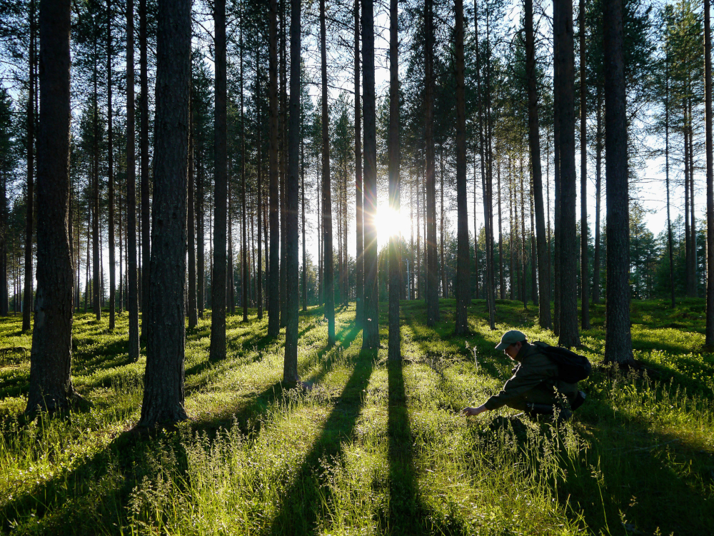 Finns recommend getting out into nature. u00e2u20acu201d Tarja Hoikkala/Vastavalo/Visit Finland handout pic via AFP-Relaxnews 