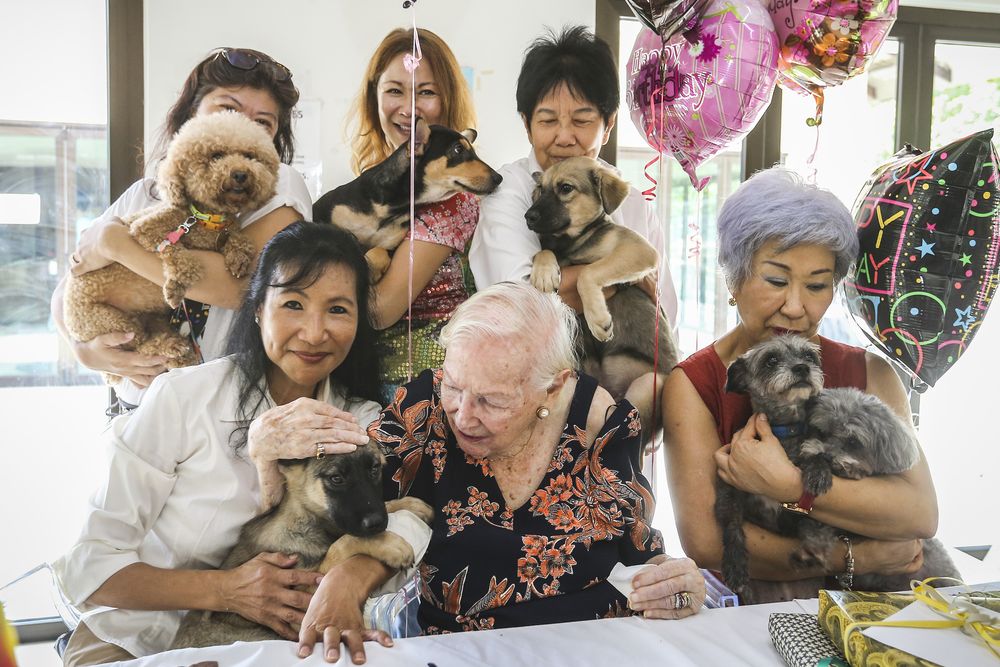 Wheatley was born in 1919 and founded SPCA in 1958 with her husband and a group of expatriates.