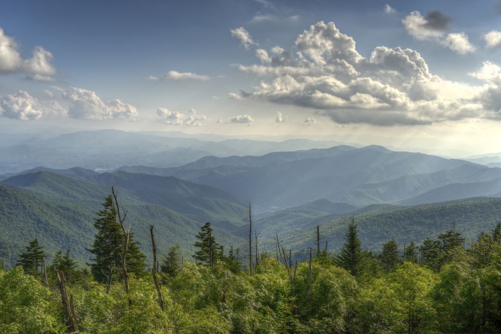 The Great Smoky Mountains National Park straddles the border between North Carolina and Tennessee. u00e2u20acu201d AFP pic