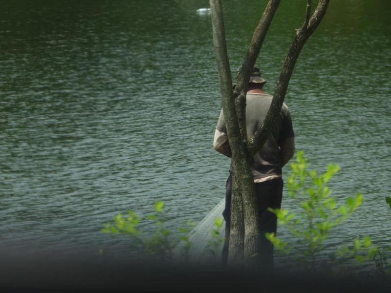 A man seen fishing in Kinta Nature Park using the illegal net fishing method. u00e2u20acu2022 Picture from the Save Kinta Nature Park Facebook page 