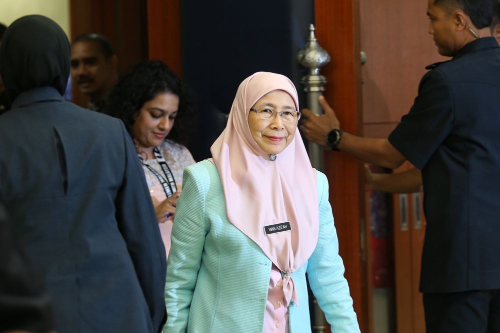 Deputy Prime Minister Datuk Seri Wan Azizah is pictured at the Parliament lobby in Kuala Lumpur March 14,2019. u00e2u20acu201d Picture by Ahmad Zamzahuri