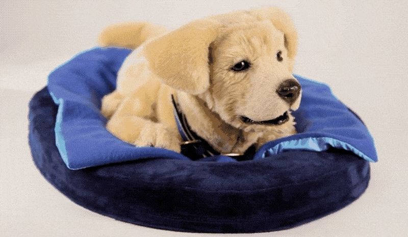 Tombot reached its Kickstarter goal for realistic companion puppies. u00e2u20acu201d AFP pic