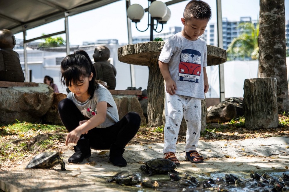 Children play with red-eared sliders at the Live Turtle and Tortoise Museum in Singapore April 7, 2019. — AFP pic