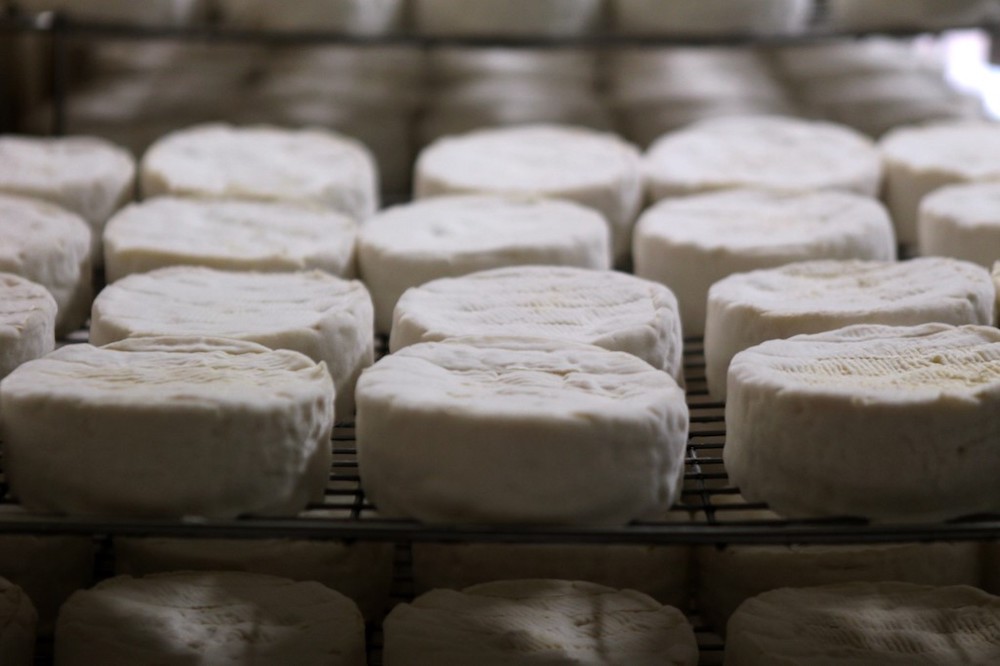 Camembert cheeses stored to ripen at a cheese farm in the French north-western village of Camembert in Normandy, where the Camembert cheese originated, April 11, 2013. u00e2u20acu201d AFP pic