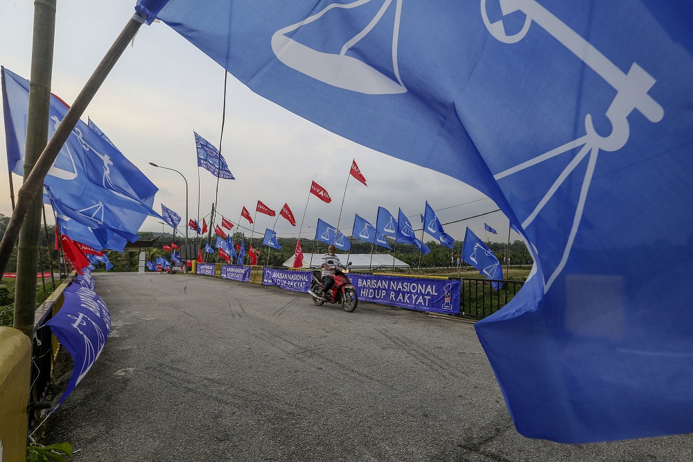 Pakatan Harapan and Barisan Nasional flags line a road in Rantau April 1, 2019. u00e2u20acu201d Picture by Yusof Mat Isa