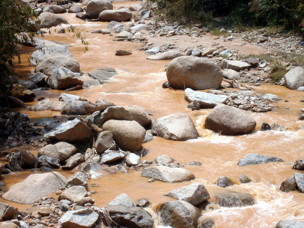 Sahabat Alam Malaysia (SAM) raised concern over the 'worrying' trend of the implementation of monoculture plantations in the permanent reserved forests in the country. — Picture by Sahabat Alam Malaysia