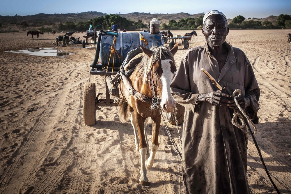 A hawker looks on after filling barils with water in the wadis Moura in Hadjer Hadid, in the Ouaddai region, in eastern Chad March 24, 2019. u00e2u20acu201d AFP pic      