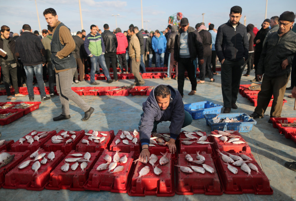 A man displays fish for sale at the seaport of Gaza City, after Israel expanded fishing zone for Palestinians April 2, 2019. u00e2u20acu201d Reuters pic