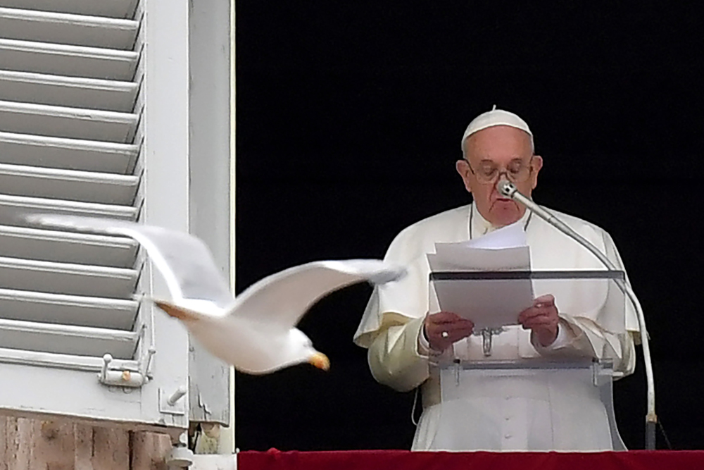 Pope Francis delivers a speech from the window of the apostolic palace overlooking St Peteru00e2u20acu2122s Square in The Vatican as a seagull flies in front of him, April 22, 2019, during the Regina Coeli prayer. u00e2u20acu201d AFP pic 