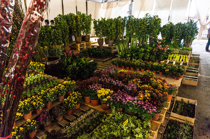 Bountiful, beautiful blooms at the pop-up flower market.