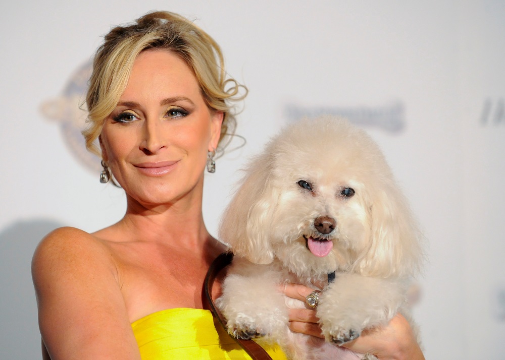 u00e2u20acu02dcReal Housewives of New Yorku00e2u20acu2122 star Sonja Morgan and her dog Millou at the first annual Golden Collar Awards celebrating Hollywood's most talented canine thespians in Los Angeles, California February 13, 2012. u00e2u20acu201d Reuters pic       