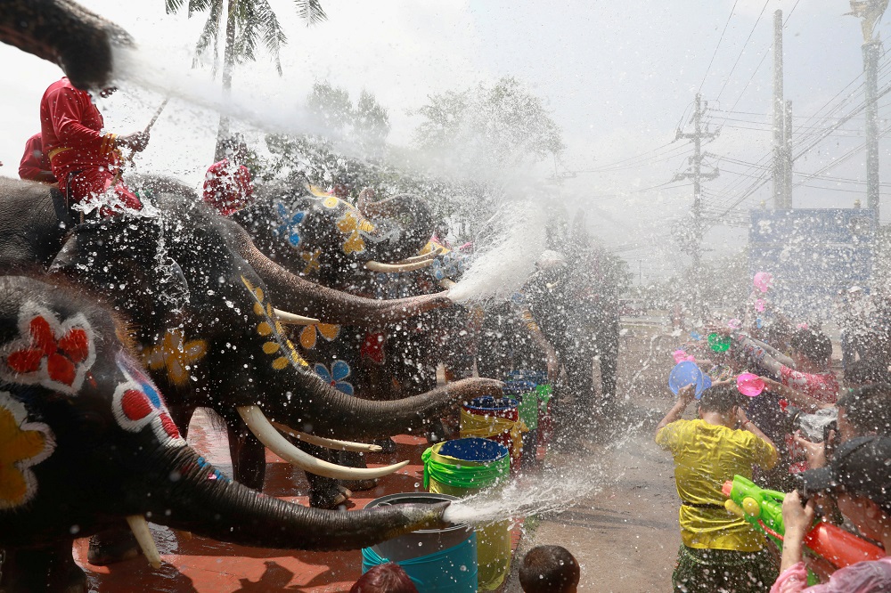 Elephants and people play with water as part of celebrations for the water festival of Songkran, which marks the start of the Thai New Year in Ayutthaya, Thailand April 11, 2019. u00e2u20acu201d Reuters pic     