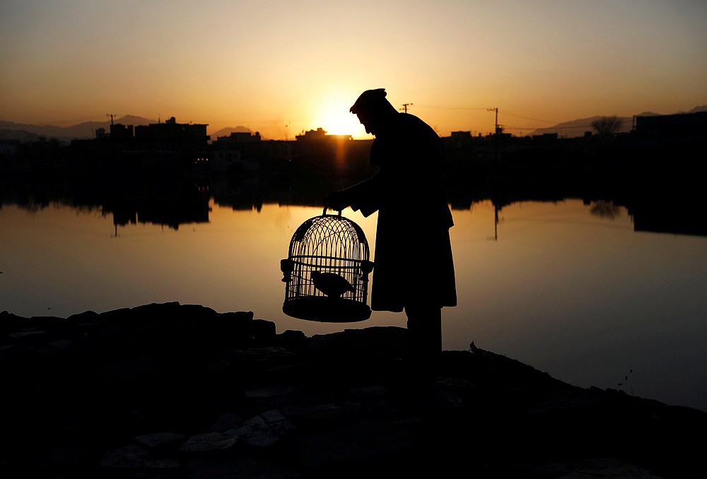 A man holds his caged partridge as the sun rises in the old part of Kabul, Afghanistan April 8, 2019. u00e2u20acu201d Reuters pic